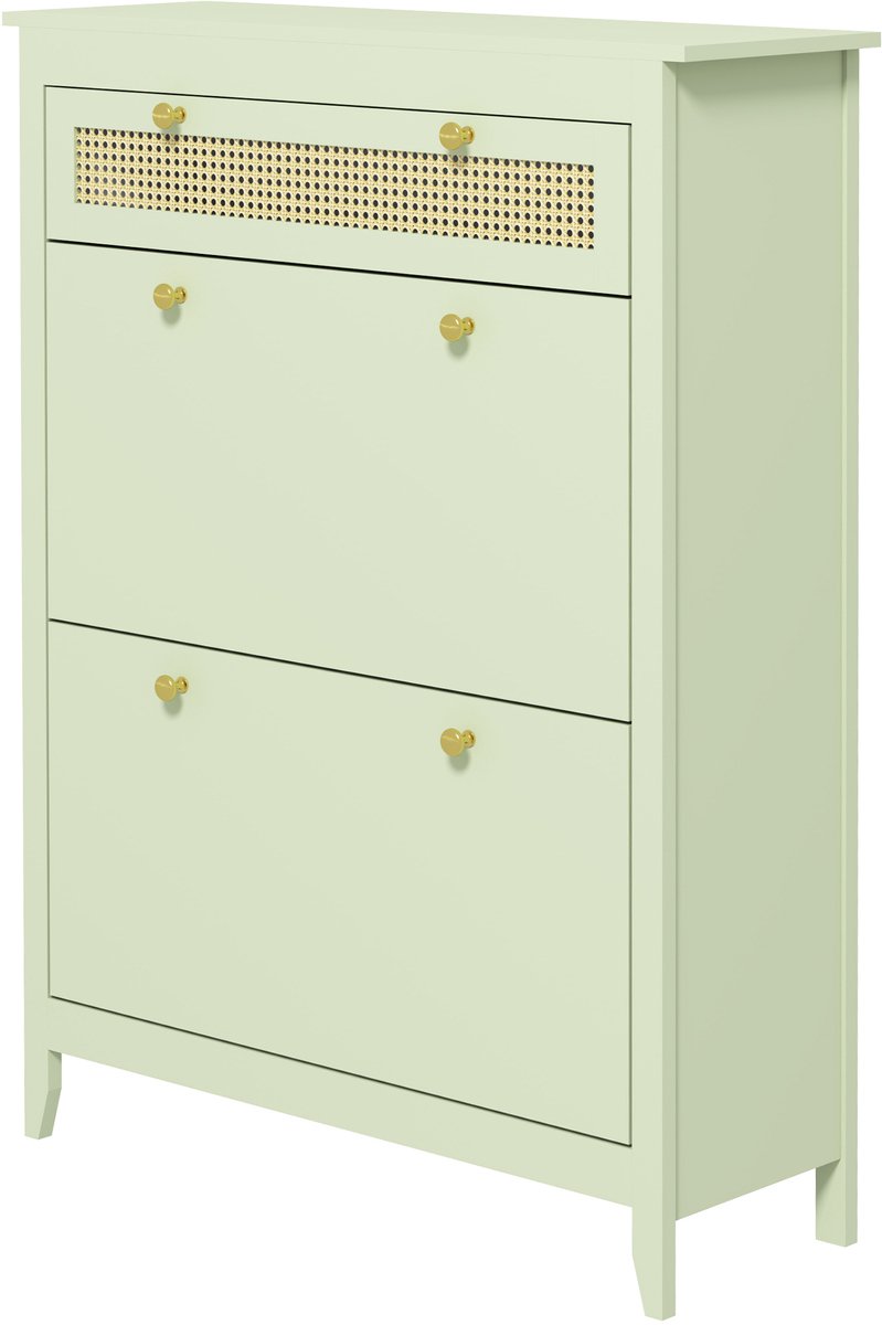 4goodz Schoenenkast voor 12 Paar Schoenen, met 1 Uitschuifbare Lade, 2 Klepladen, 30x88x120 cm - Groen (6013930923909)