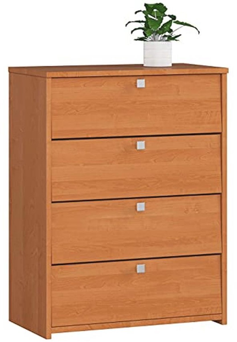 Schoenenkast met 4 schoenenrekken en klapdeuren - Slanke opbergoplossing voor schoenen - 60 x 80 x 33 cm (9101001606527)