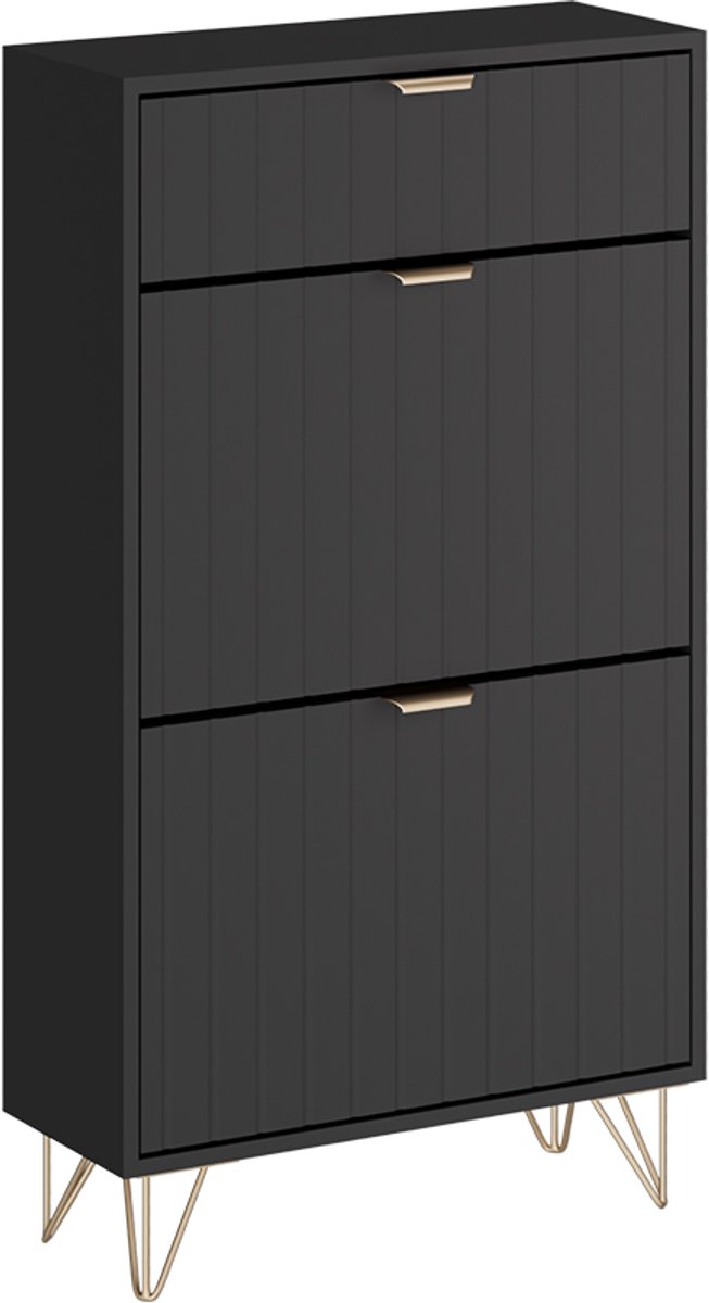 Vicco Helge Schoenenkast - 60 x 107.5 cm 2 compartimenten Zwart (4066731491568)