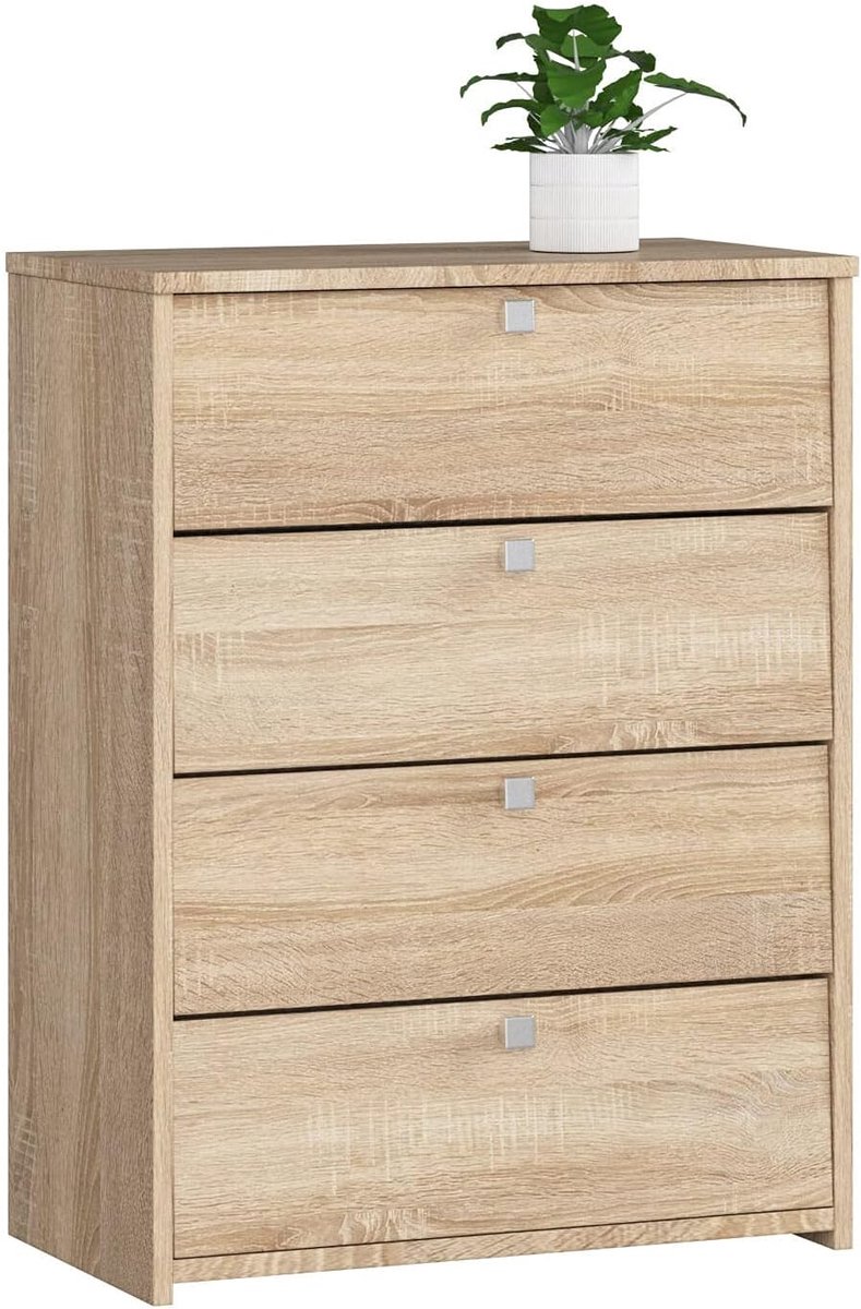 Schoenenkast met 4 Rekken en Klapdeuren - Compacte Oplossing voor Schoenenopslag (8721316532819)