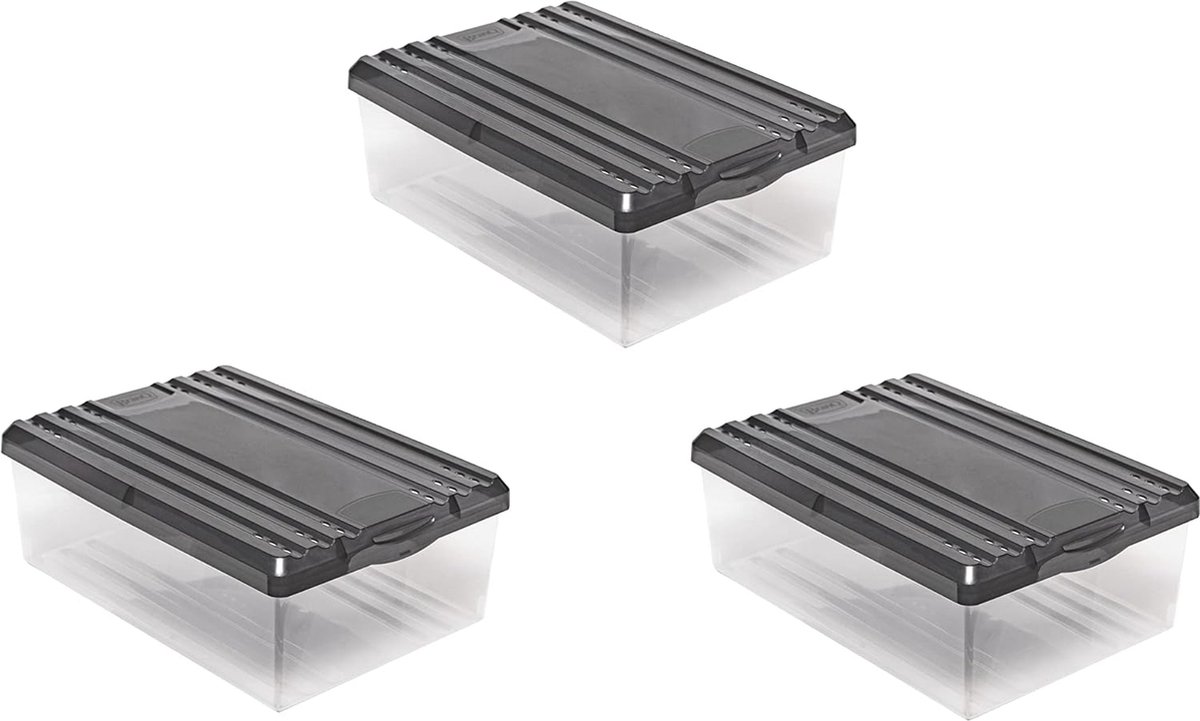 Schoenenbox Shoe Box met ventilatiegaten en deksel, kunststof, 8 l, set van 3 stuks (4800325744490)